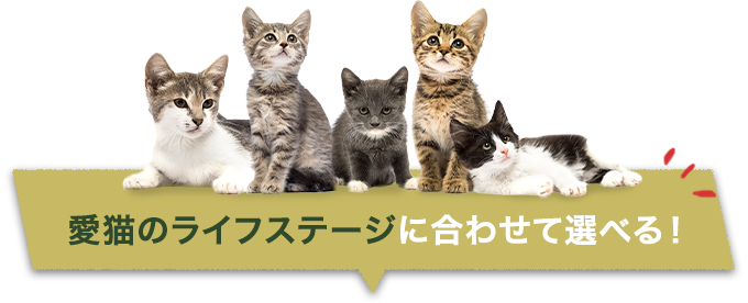 愛猫のライフステージに合わせて選べる!